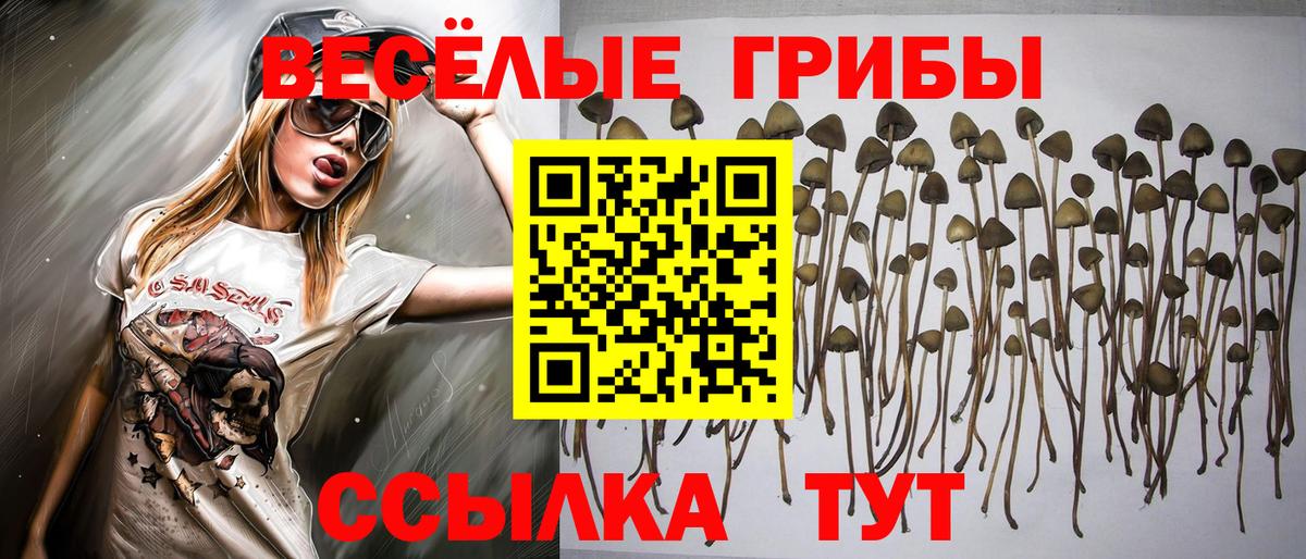 Псилоцибиновые грибы прущие грибы Ярославль