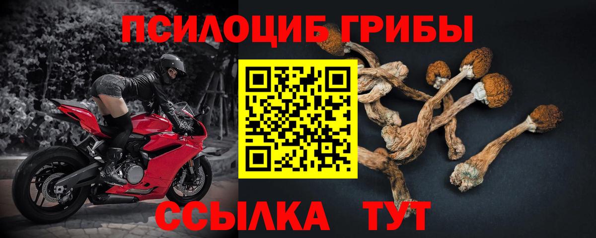 Ярославль  Псилоцибиновые грибы Magic Shrooms  Вход с VPN  Галлюциногенные грибы MAGIC MUSHROOMS 